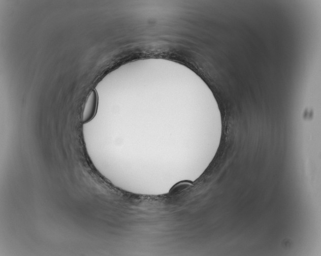 X0000112851153200909111439