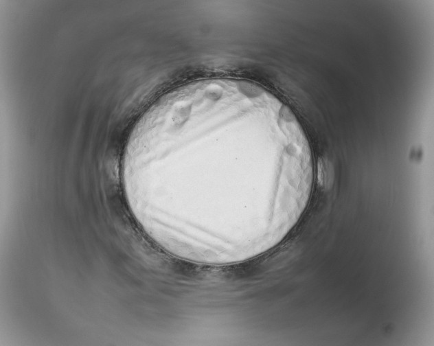 X0000112851155200909111439