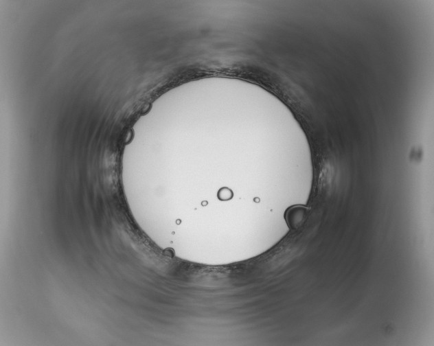 X0000112851156200909111439