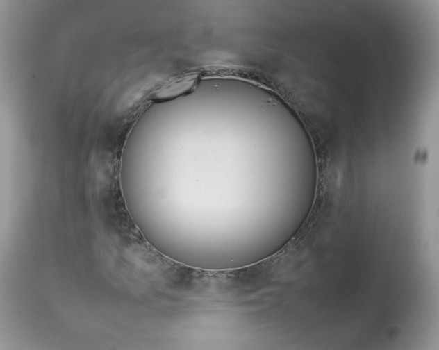 X0000112851157200909111439