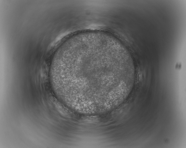 X0000112851158200909111438