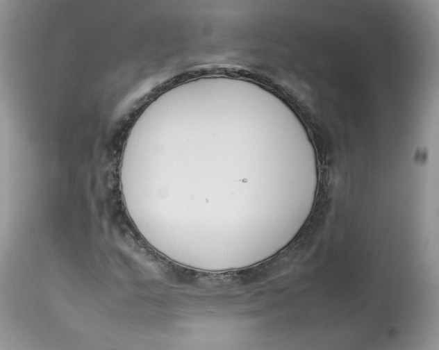 X0000112851159200909111438