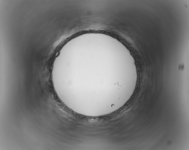 X0000112851160200909111438