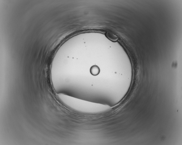 X0000112851161200909111438