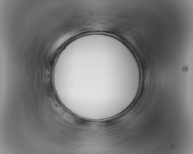 X0000112851163200909111438