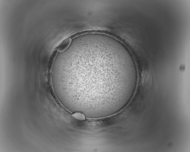 X0000112851165200909111438