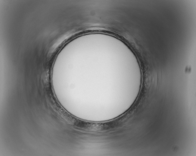 X0000112851167200909111438