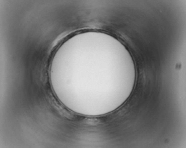 X0000112851168200909111438