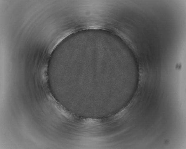 X0000112851170200909111438