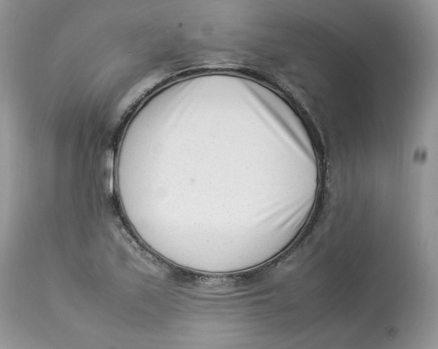 X0000112851171200909111438