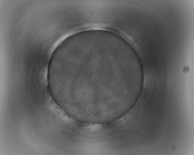 X0000112851174200909111438