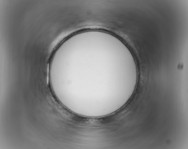 X0000112851175200909111438