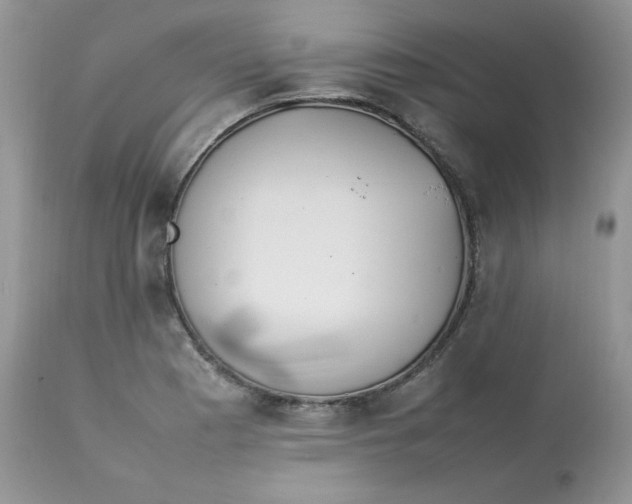 X0000112851177200909111438