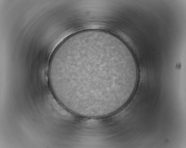 X0000112851178200909111438