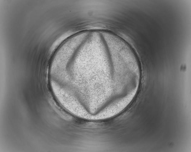 X0000112851179200909111438