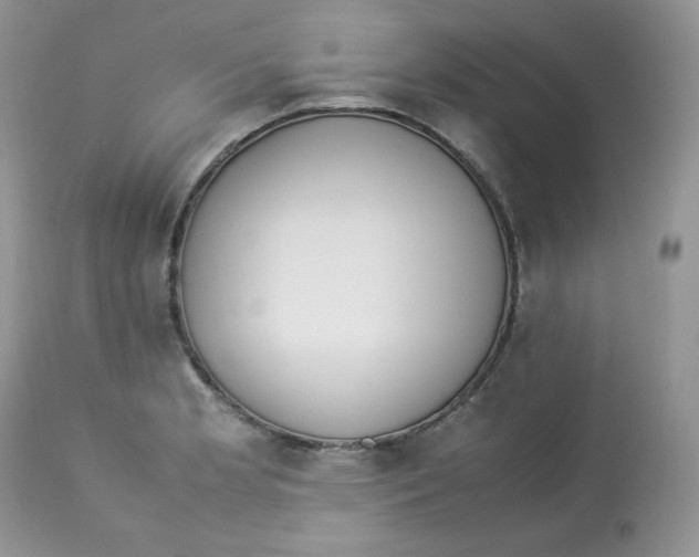 X0000112851181200909111438