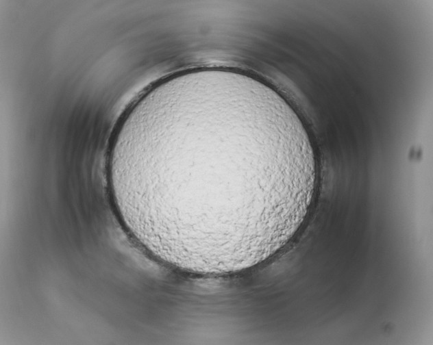 X0000112851182200909111438