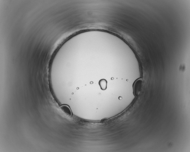 X0000112851184200909111438