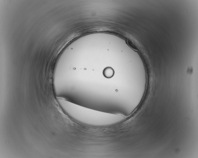 X0000112851185200909111438