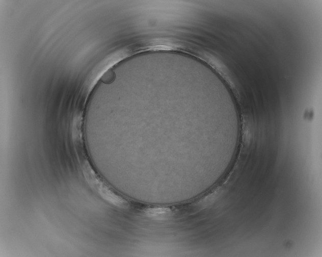 X0000112851186200909111438