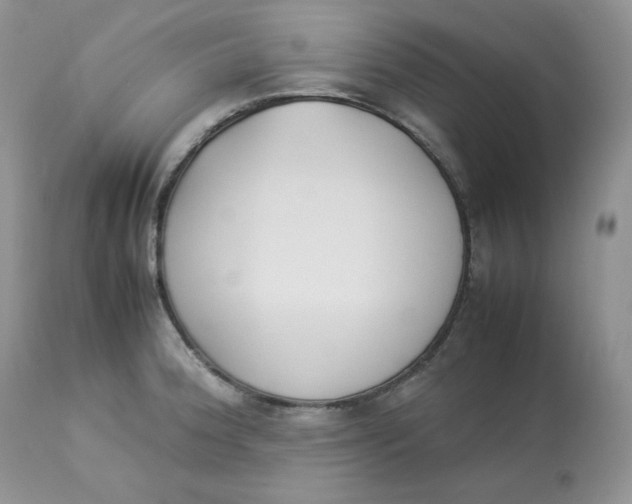 X0000112851188200909111438