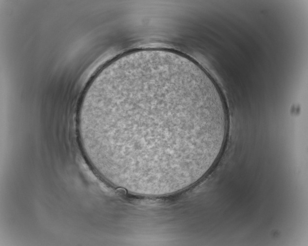 X0000112851189200909111438