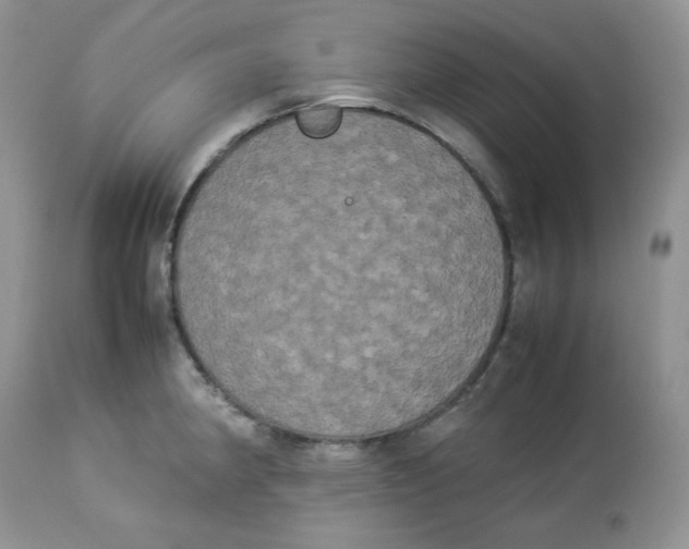 X0000112851190200909111438