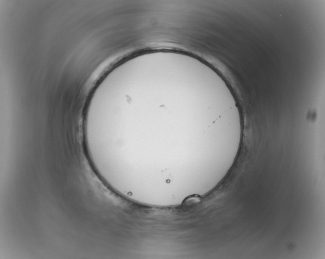 X0000112851191200909111438