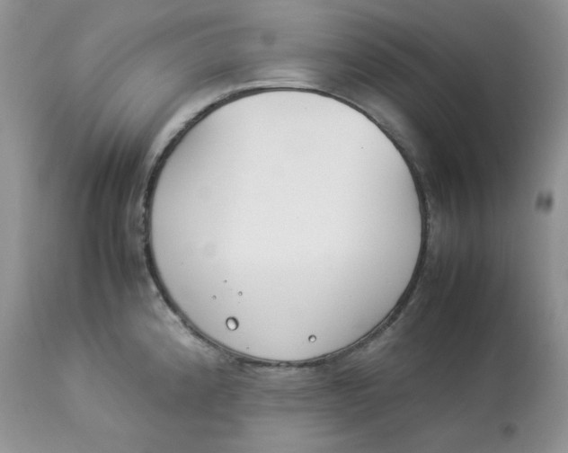 X0000112851192200909111438