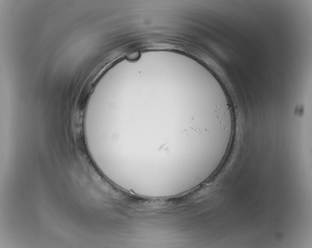 X0000112851193200909111438