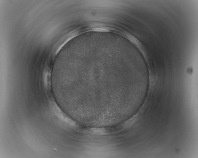 X0000112851194200909111438