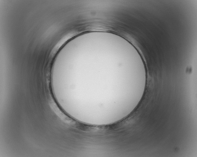 X0000112851195200909111438