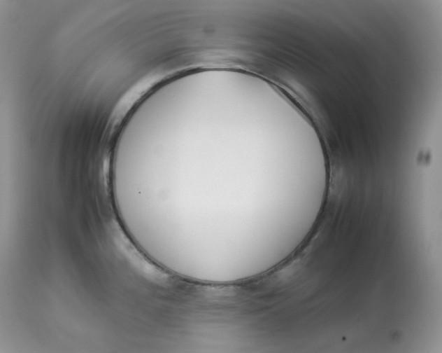 X0000112851196200909111438