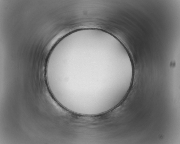 X0000112851197200909111438