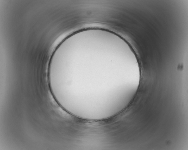 X0000112851199200909111438