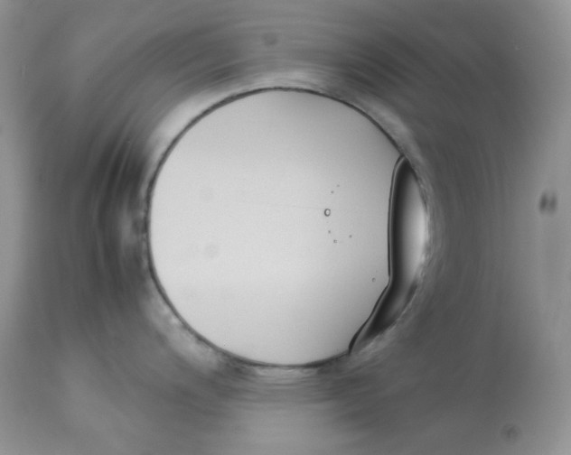 X0000112851200200909111438