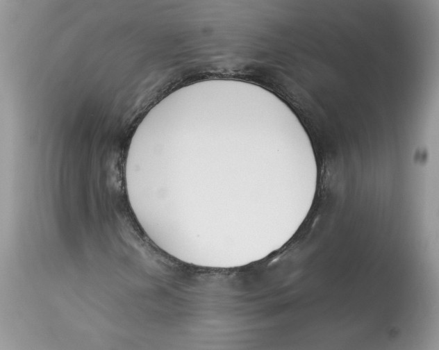 X0000112851202200909111437