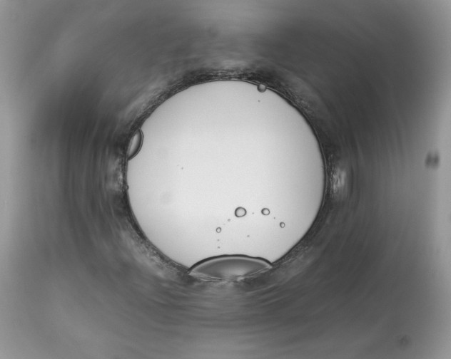 X0000112851204200909111437