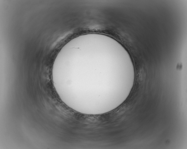 X0000112851205200909111437