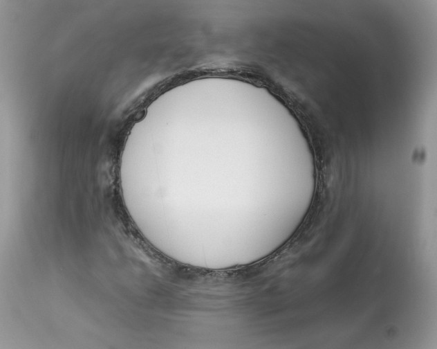 X0000112851206200909111437