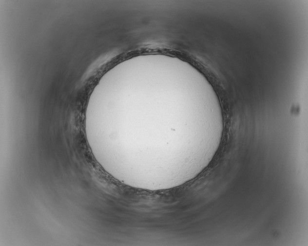 X0000112851207200909111437