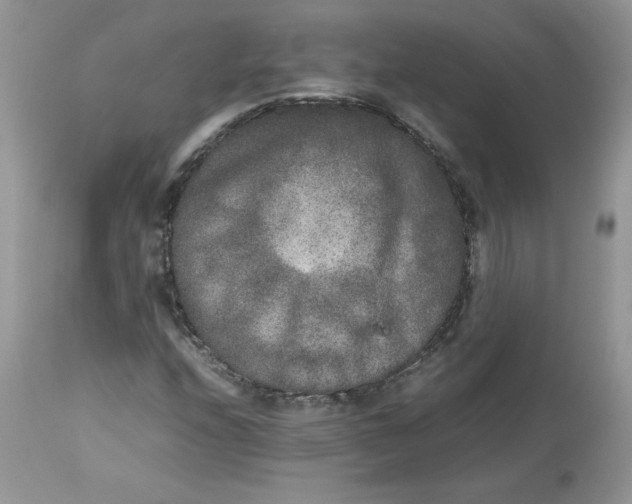 X0000112851208200909111437