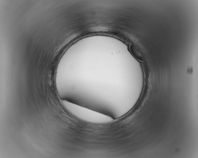 X0000112851209200909111437