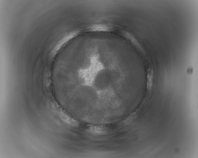 X0000112851213200909111437