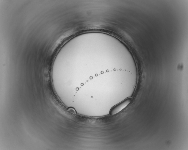 X0000112851218200909111437