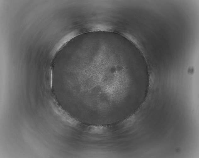 X0000112851219200909111437