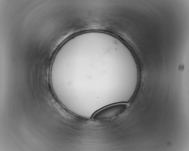 X0000112851220200909111437