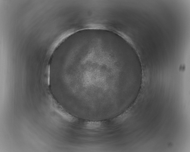 X0000112851223200909111437