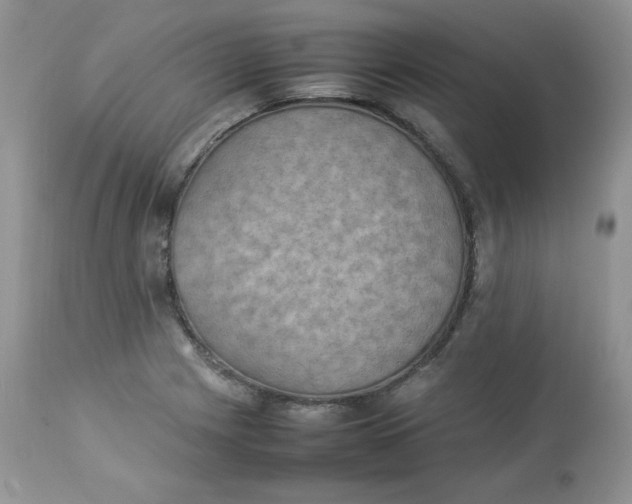 X0000112851225200909111437