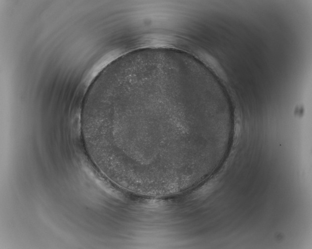 X0000112851226200909111437